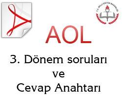 Aol 3. Dnem Snav Sorular ve Cevaplar