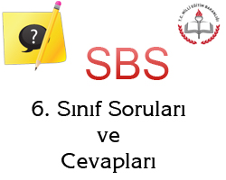 6. Snf SBS Soru ve Cevaplar