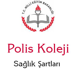 Polis Koleji Salk artlar