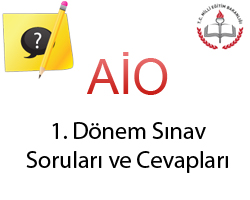 Aio 14 Kasm 2010 Snav Sorular ve Cevaplar